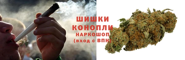 хмурый Абаза