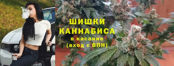 хмурый Абаза