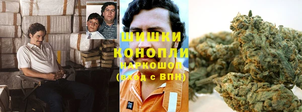 молекула духа Магас