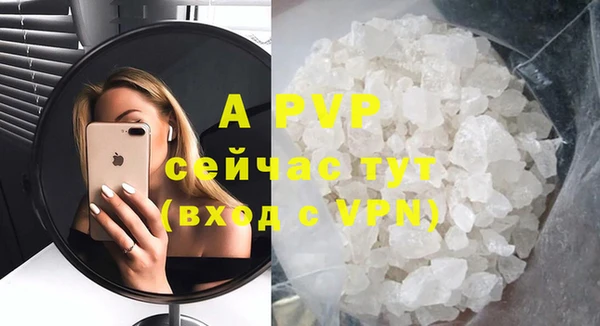 хмурый Абаза